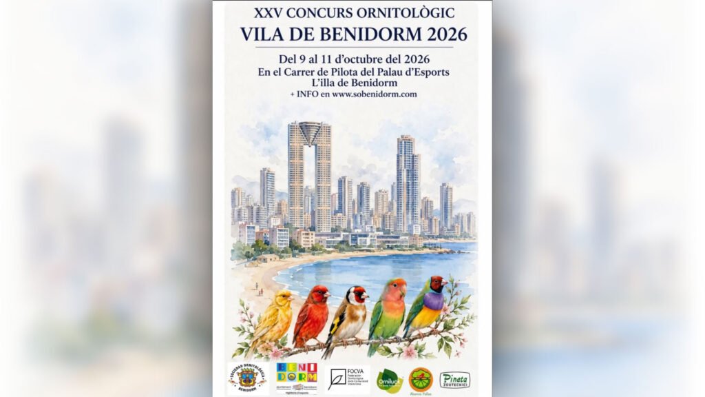 El carrer de pilota del Palau d’Esports se llena de canarios, exóticos y llarguets: el XXV Concurso Ornitológico ‘Villa de Benidorm’ llega este fin de semana