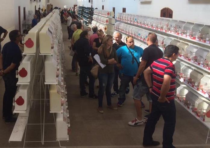 Visitantes recorren las filas de jaulas en una edición anterior del Concurso Ornitológico 'Villa de Benidorm'