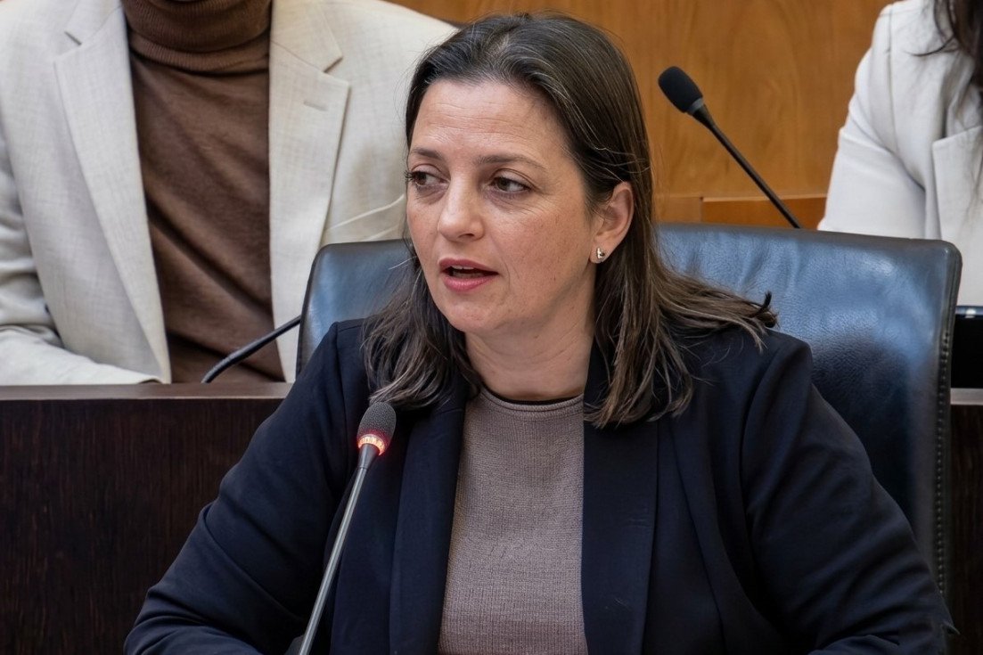 Cristina Escoda en un acto del PSOE